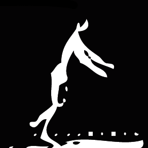 HANDSPRING