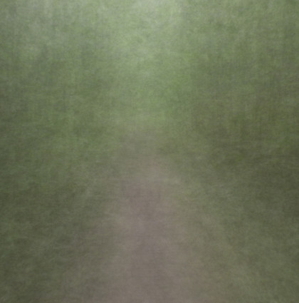 Pond Walk